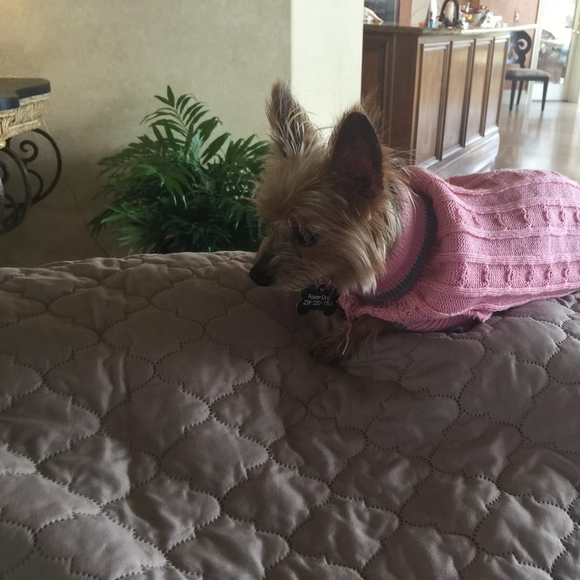 Meet your Posher, Eileen - Picture 1 of 1